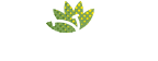 Micalics-Vente de produits cosmétiques naturels